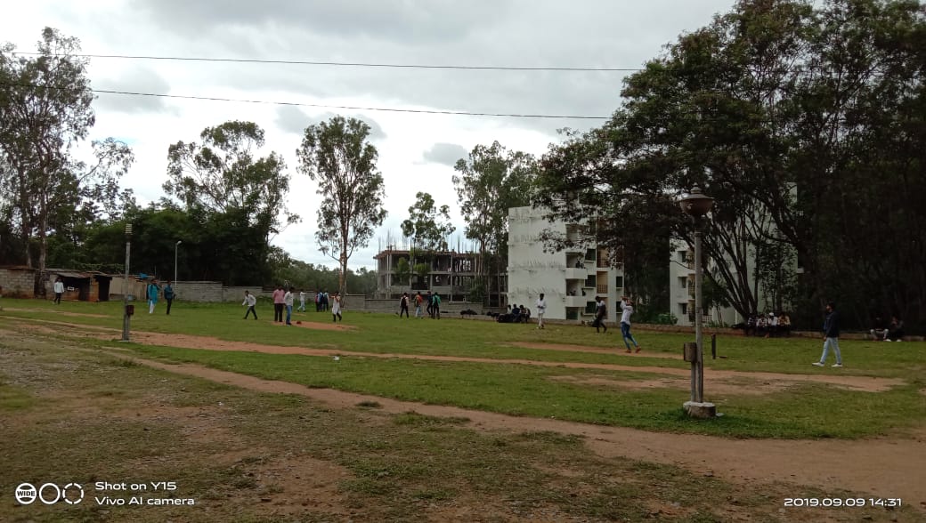 Cricket