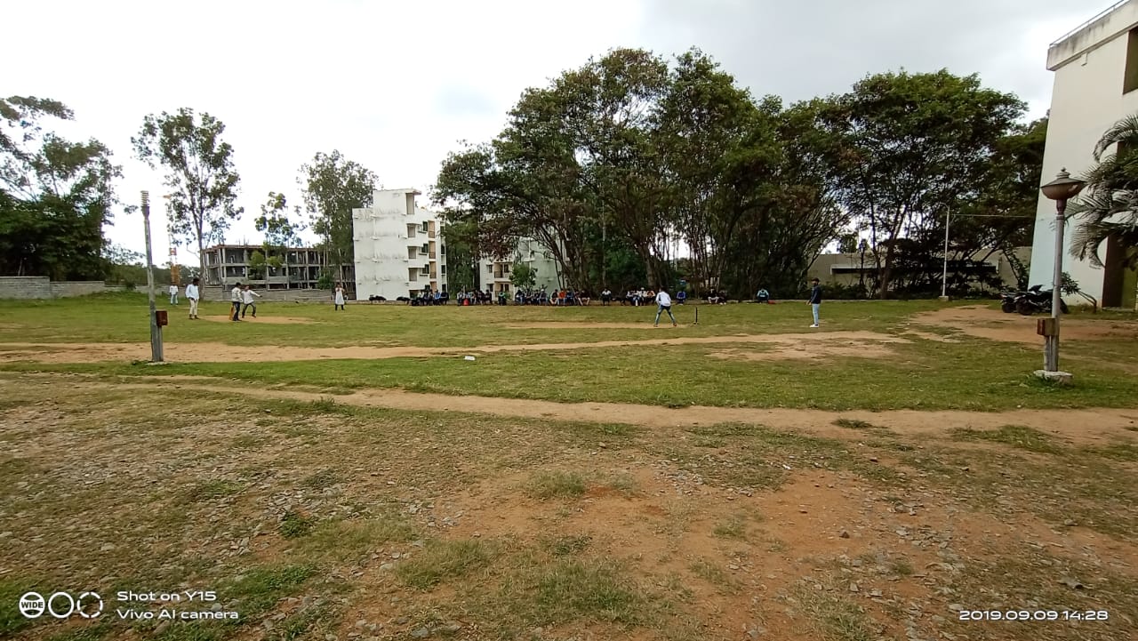 Cricket