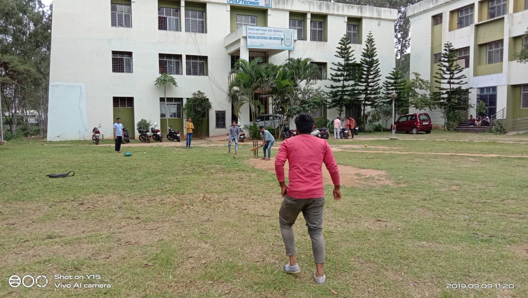 Cricket