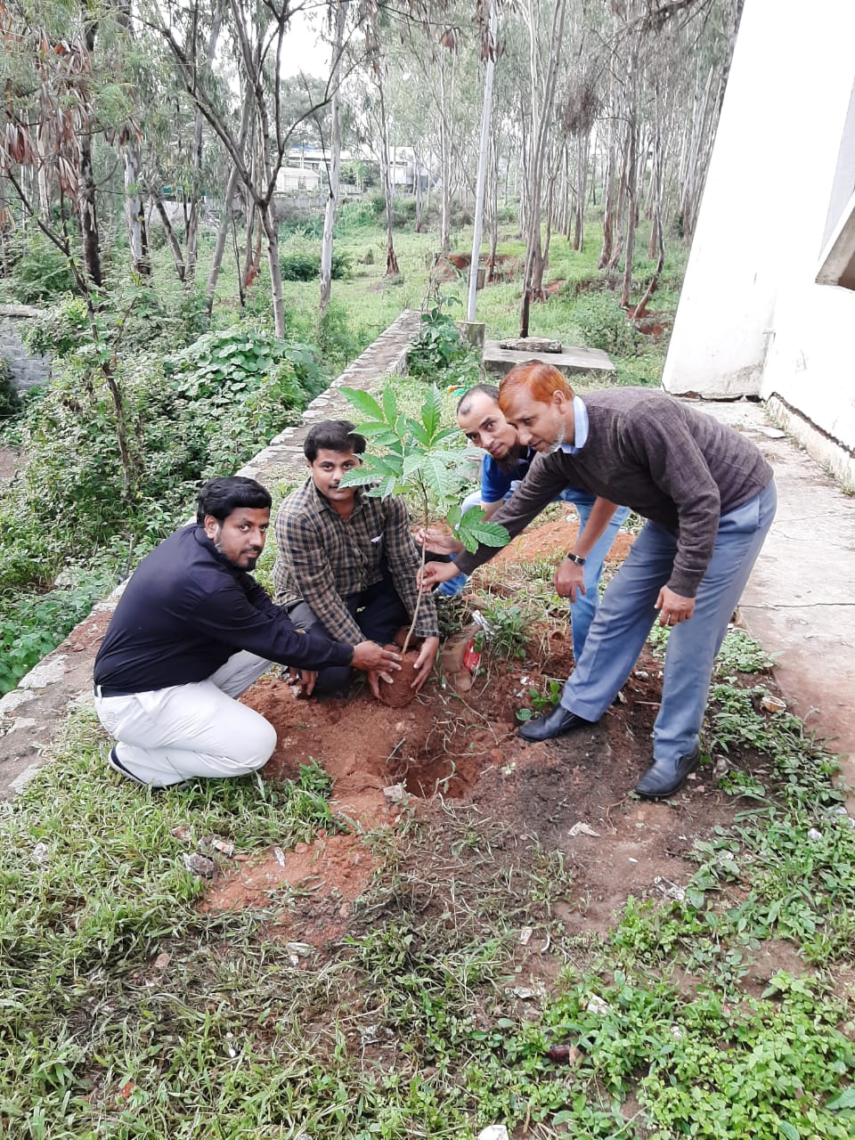 Events Plantation Drive: Polytechnic Bengaluru