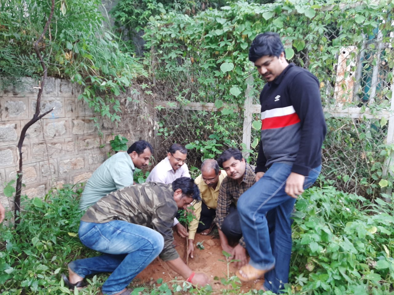Events Plantation Drive: Polytechnic Bengaluru