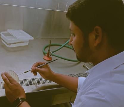 Gallery : Department of Vocational Studies and Skill Development