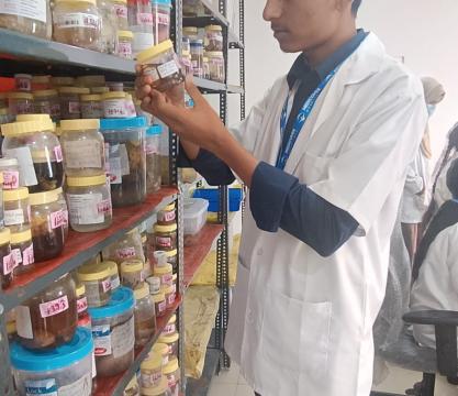 Gallery : Department of Vocational Studies and Skill Development